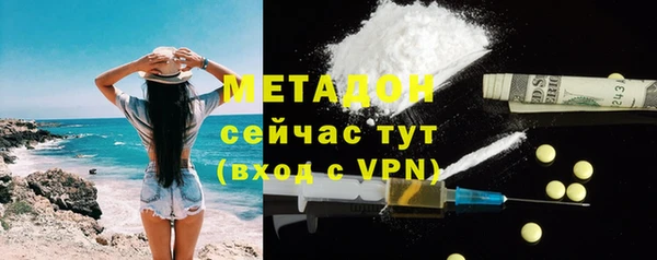 прущие грибы Сясьстрой
