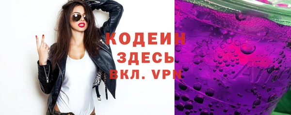 прущие грибы Сясьстрой