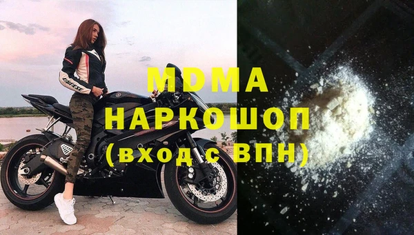 прущие грибы Сясьстрой