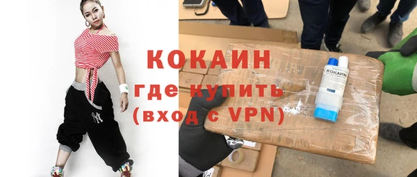 прущие грибы Сясьстрой