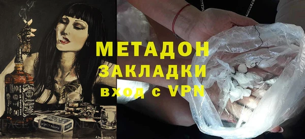 прущие грибы Сясьстрой
