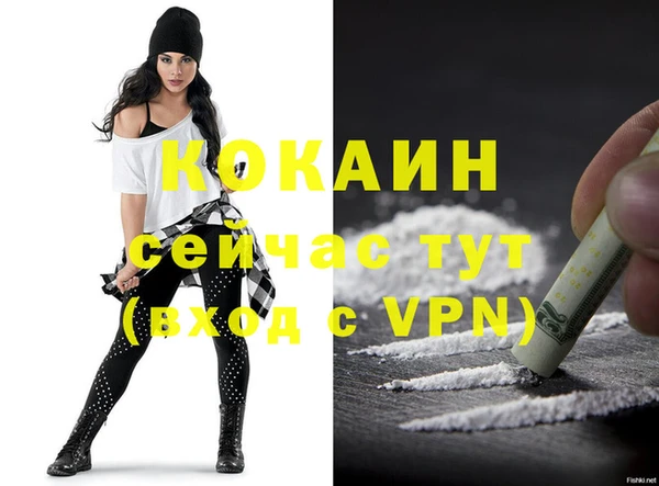 прущие грибы Сясьстрой